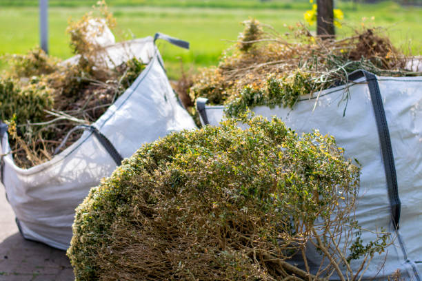 Best Construction Debris Removal  in , CA